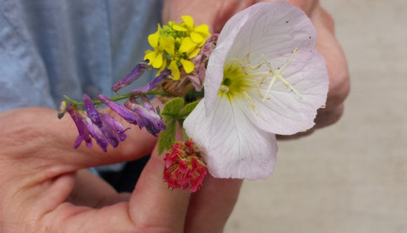 Get Off Your Story: Beyond Wellness Duality (with Bonus Flower Gift)