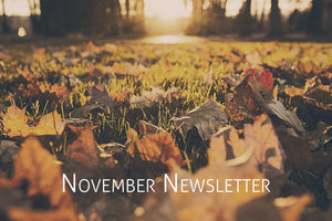 OWLS November Newsletter - OWLS CONSULTING MODEL GAINS TRACTION WITH CLIENTS
